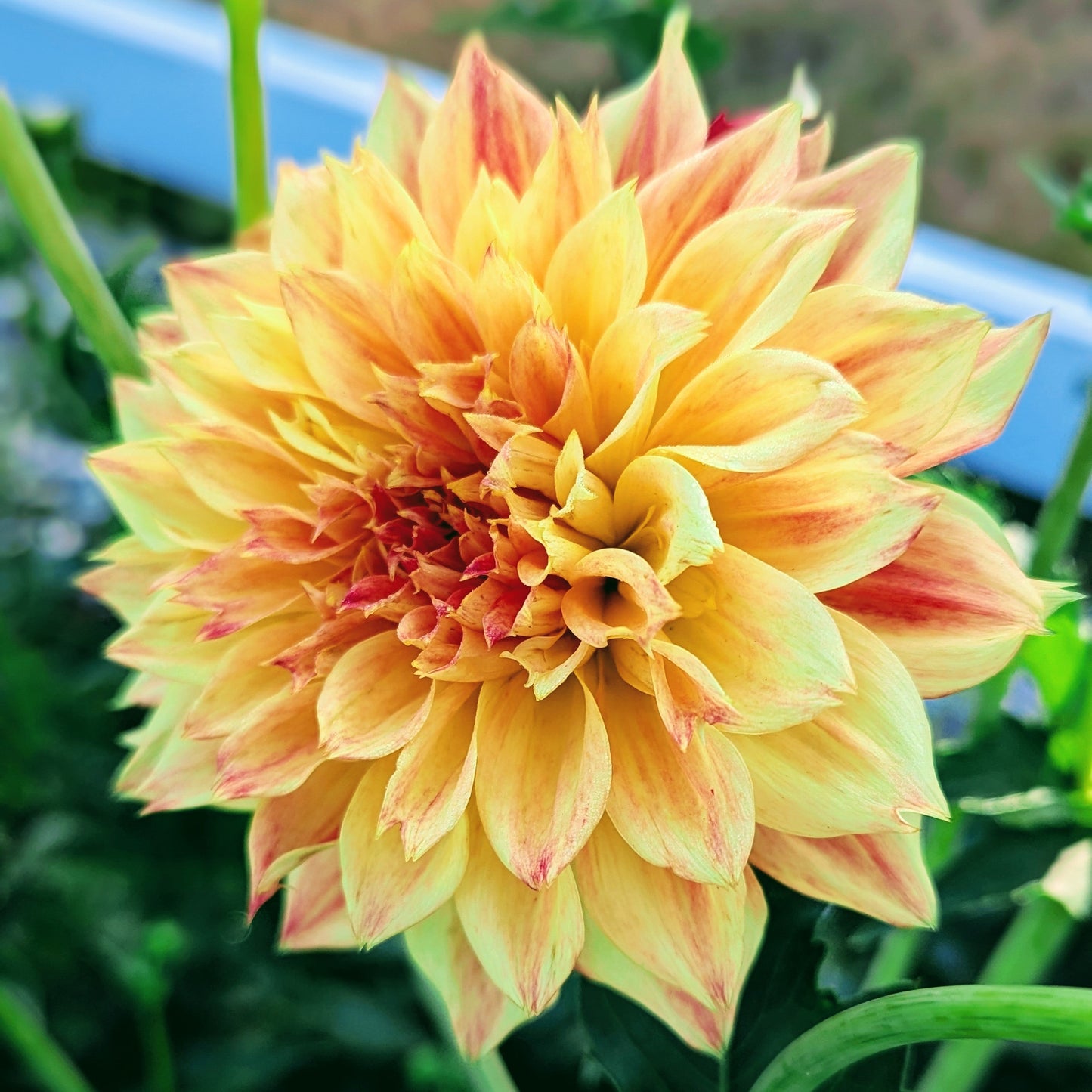 Bloomquist Georgia C