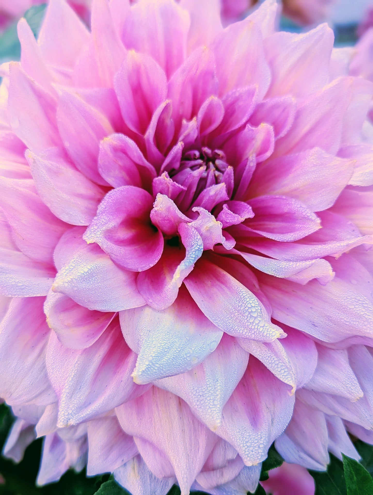 Otto's Thrill (1956)